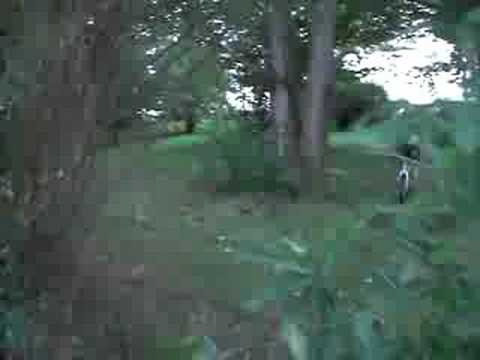 risstissen-bmx-baggersee