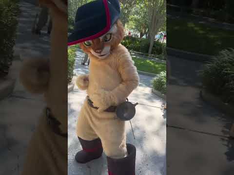 I met Puss in Boots!!😱 #shorts