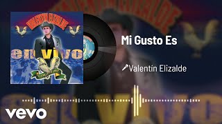 Valentín Elizalde - Mi Gusto Es (Audio/En Vivo)