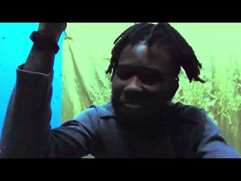 IMbc - BeatBox Remix (Official video)