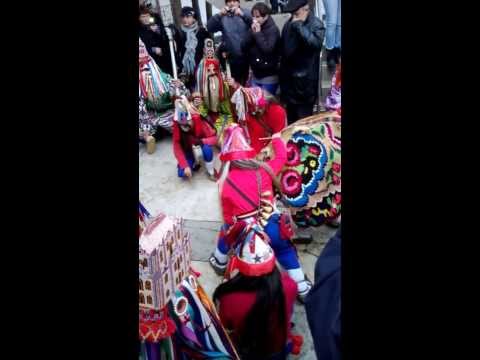 Cerbul din Crivesti - 31.12.2013