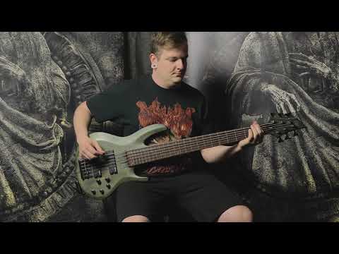 SWEPT INTO DECAY - SILENCED PUPPETS (BASS PLAYTHROUGH)