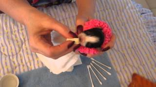 Lilly Blossom drinking from the miracle sponge April 6, 2013