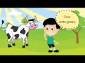 Animals and the Food They Eat | Kindergarten Science Lesson