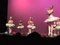 Nutcracker Performance 2007