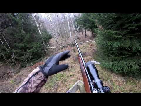 Vildsvinsjakt Skåne 20201206