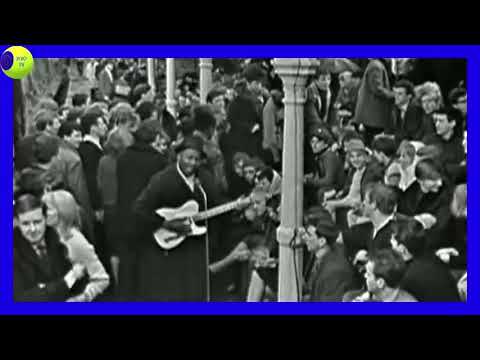 Thumbnail for Muddy Waters - Blow Wind blow (Live 1964) by Muddy Waters