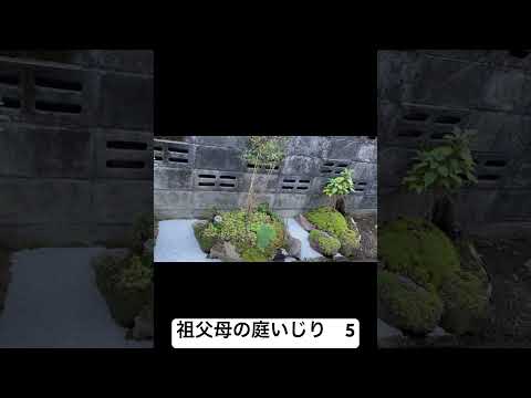 庭でできるガーデニング活動 2022