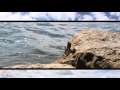 $UICIDEBOY$ - Underwater Malibu 