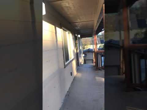 150puck - Video 2 of 2