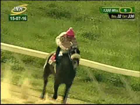 Resumen Viernes, 15 de Julio de 2016 - Valencia