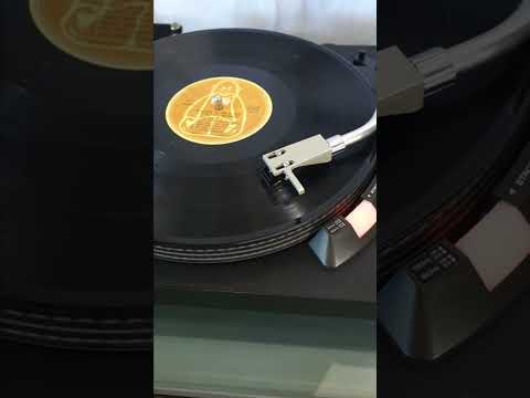 Technics SL-23A F-G Servo Player - Belt-Drive Semi-Automatic Turntable + cellule Ortofon OM Pro S image 9