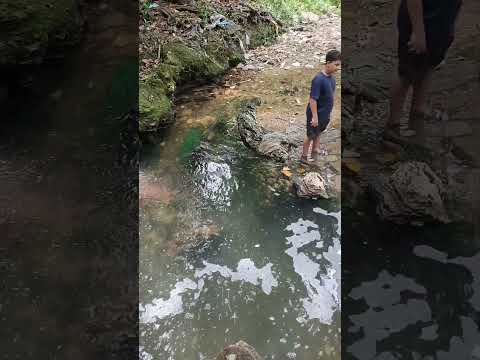 Desde Turbaco bolivar