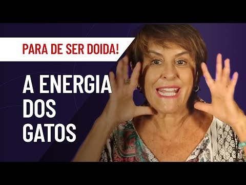A ENERGIA DOS GATOS, NOSSOS PROTETORES ESPIRITUAIS | MARCIA FERNANDES | PARA DE SER DOIDA!