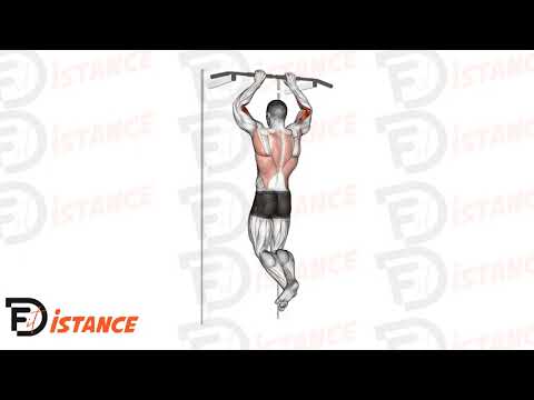 Exercice Tractions pour le brachial (avant-bras)