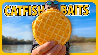 Will Catfish Will Eat Anything?