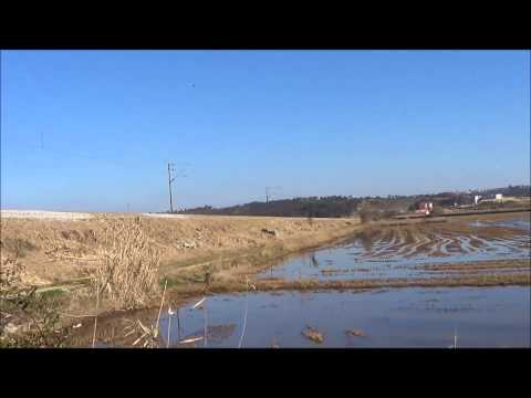 Comboio nº 48892 - P.K. 202 - Linha do Oeste