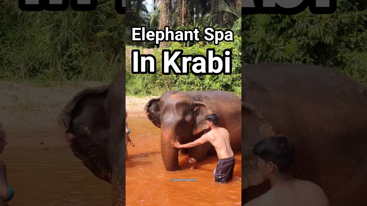 YouTube Short thumbnail