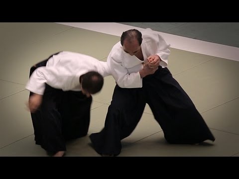 Aikido - Tada Hiroshi Shihan - 53rd All Japan Aikido Demonstration (2015)