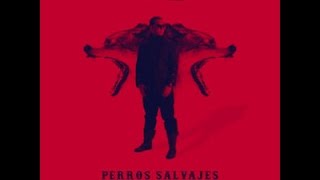 Daddy Yankee Ft  DJ Kadel – Perros Salvajes Trap Version