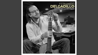 Noche Sin Luciérnagas