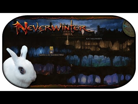 NEVERWINTER: Paladin-LP 🐇 122 - Eine Expedition zu den Gewundenen Höhlen