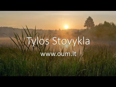 Tylos stovykla