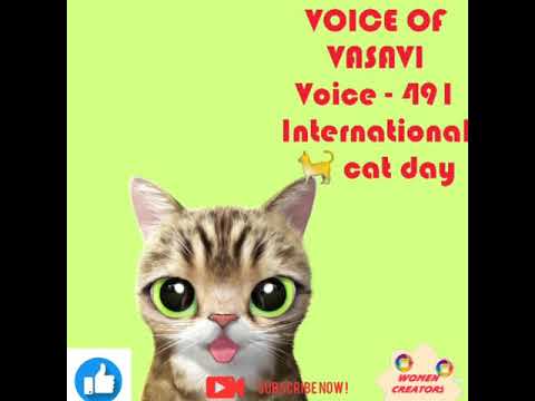 VOICE OF VASAVI  Voice - 491 International 🐈 cat day