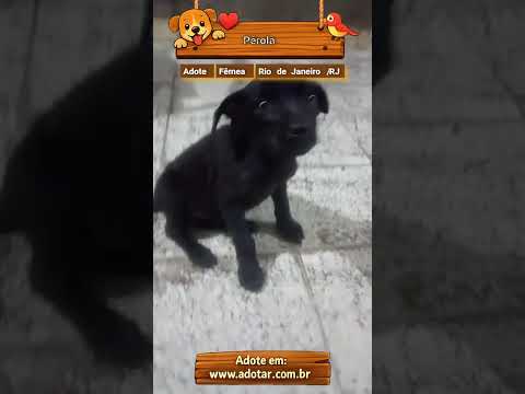 Vídeo de Pérola 