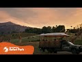 Find Yourself Eye To Eye With Incredible Wildlife At The San Diego Zoo Safari Park