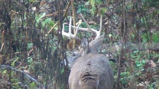 Archery Season Extra Footage 2012