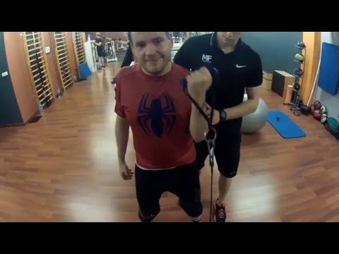 Pobieranie wideo kulturystyka trening Rysunki mięśni kończyny górnej