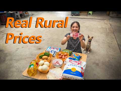 What Can 100 RMB (≈$14.7) Buy in Rural China? It Takes Me 10 Hours to Earn