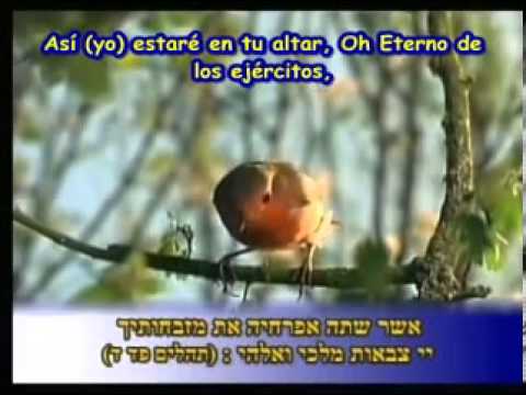 שירת הבריאה, פרק שירה, SUBTITULADA AL ESPAÑOL