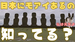 宮崎県は知らない事ばかりでした😳💦