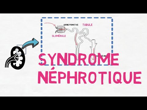 syndrome néphrotique