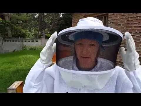 , title : 'BEGINNING BEEKEEPING: Great Tips & Lots of Bees To See'
