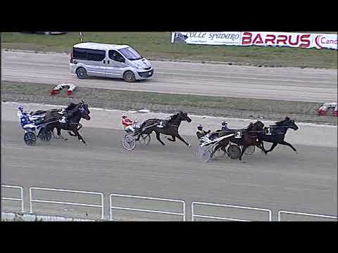 Napoli Trotto 17/02/2023 - 6ª corsa