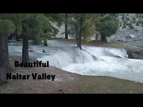 Hidden Waterfall of Naltar Velley | Sherdil Adventure| Vlog 25