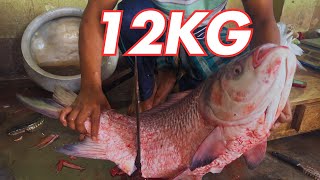 12KG+ Giant Catla Fish Cutting with Traditional Tools in Bangladeshi Fish Market