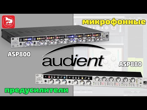 Обзор предусилителя Audient ASP800