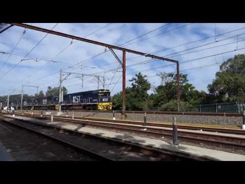 Quad 82 class with LS66 loaded coal - 17/3/15