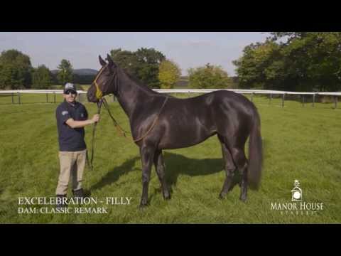 Excelebration ex Classic Remark