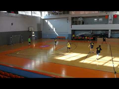 ŽMNL Veterani 2018/19 - Zlatna ribica - Banzogo