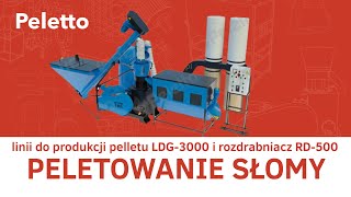 Venta de Peletto Strohpelletslinie PELETON - 4000 S | 52kW | bis 450 kg/h molino de pellets - Imagen 6 | Machineryline PY Peletto Strohpelletslinie PELETON - 4000 S | 52kW | bis 450 kg/h molino de pellets nuevo | Imagen 6 - Machineryline