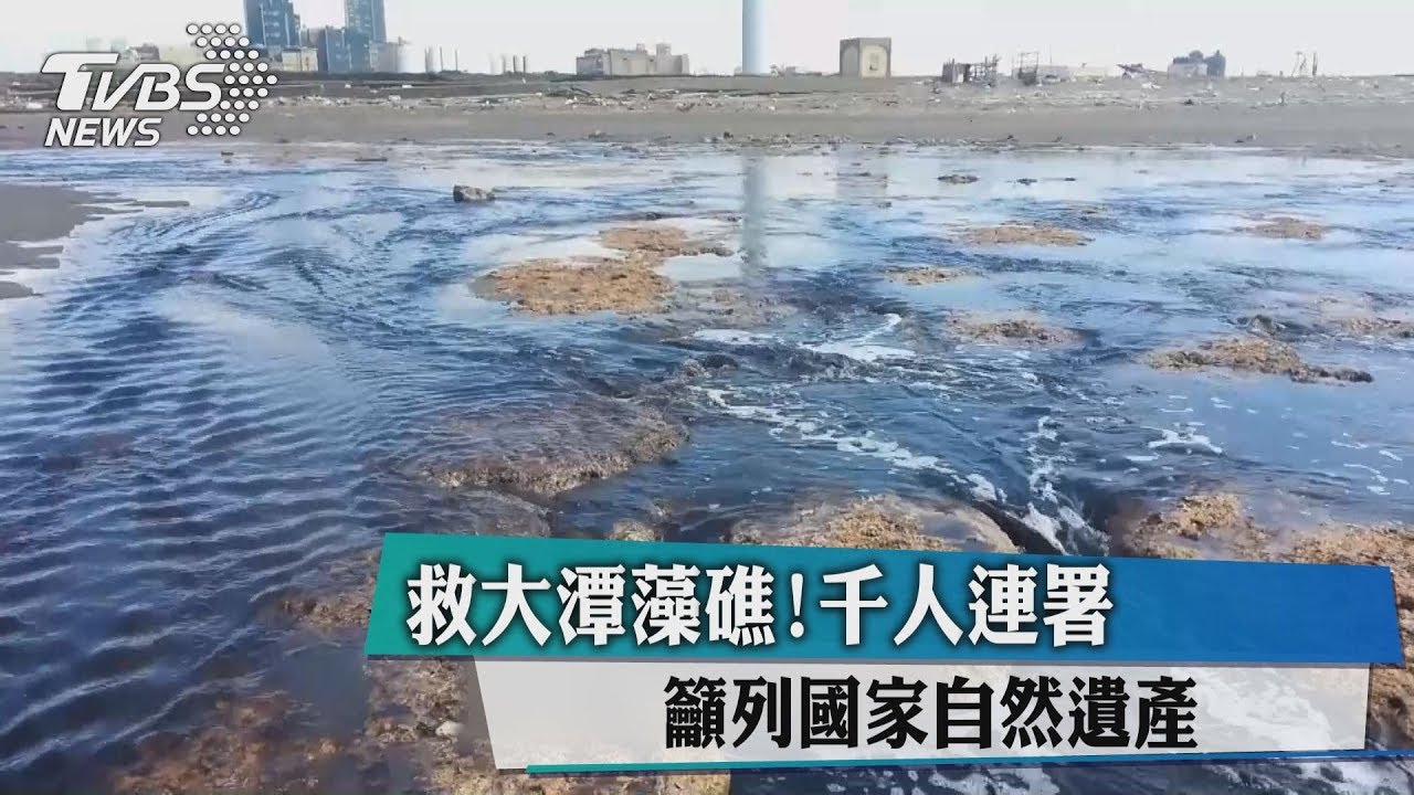 救大潭藻礁!千人連署 籲列國家自然遺產