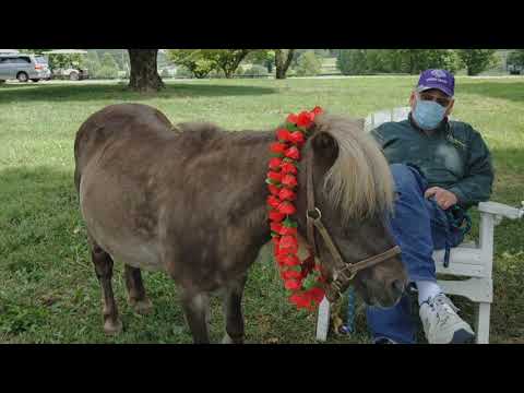 Old Friends Virtual Tour - Lifestyles of the Short and Famous - In Depth with Little Silver Charm