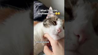 What I Want vs. What I Get 💀#cat #catvideos #cats #funny #katze #ねこ #funnycats #catshorts #cutecat