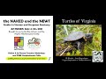 Turtles Of Virginia Life History And Conservation