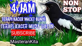 Download lagu Terapi KACER MACET BUNYI dan KACER MUDA HUTAN mp3